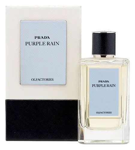 purple prada perfume